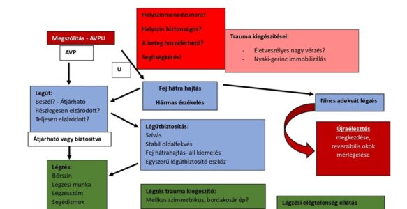 Légzés és légzési elégtelenségek – elsősegély