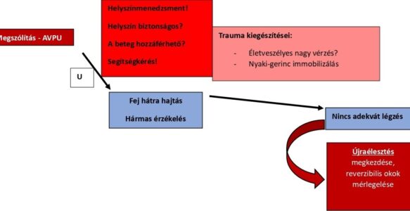 Outdoor elsősegélynyújtás – „C” keringés